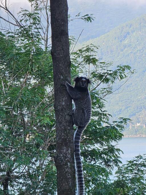 Nosso Mar Otel Florianópolis Dış mekan fotoğraf